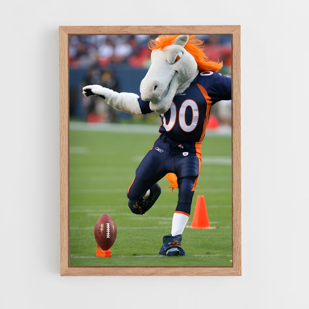 Poster Bronco Spirit (vue 4)